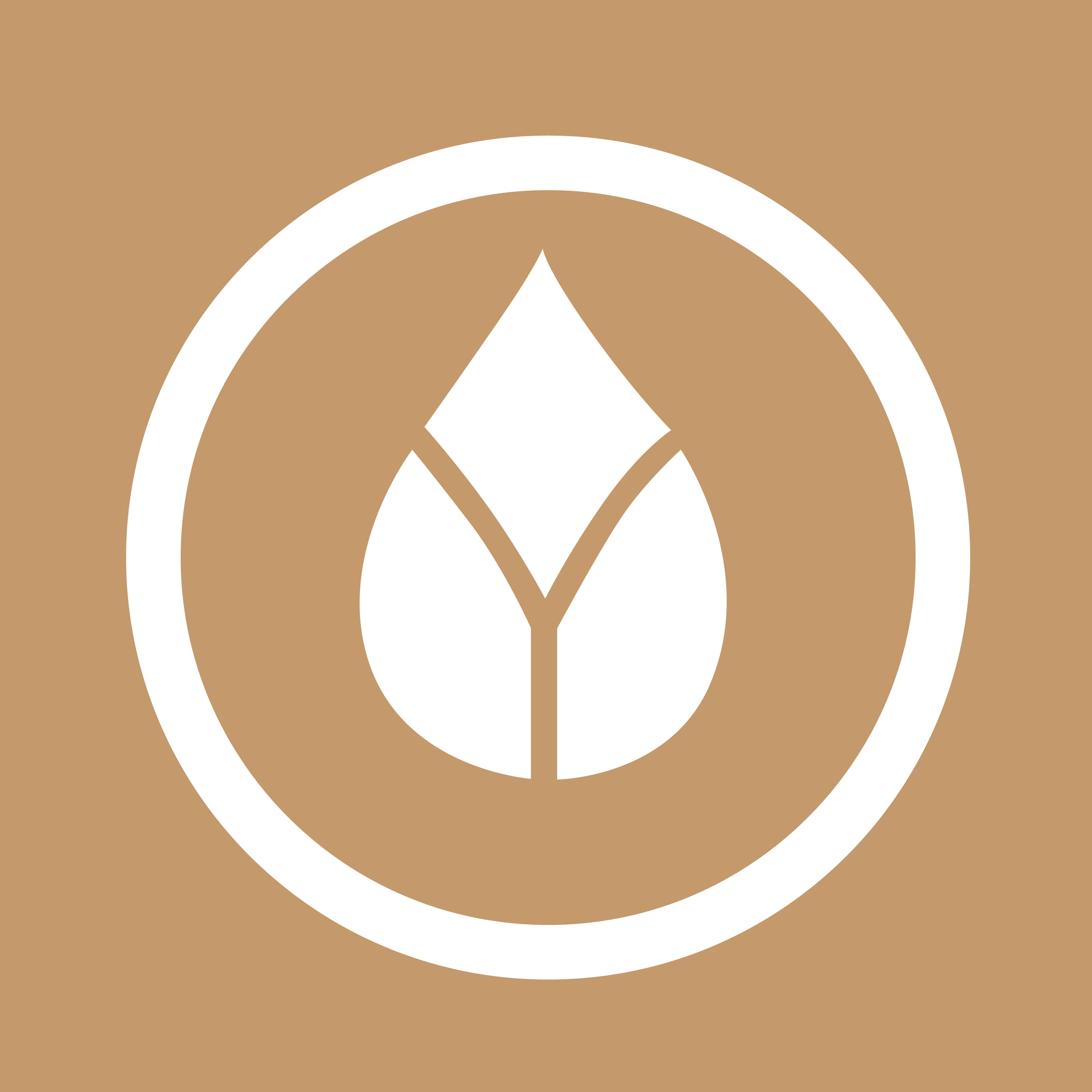 Sleepbeauty Wellness Inc.